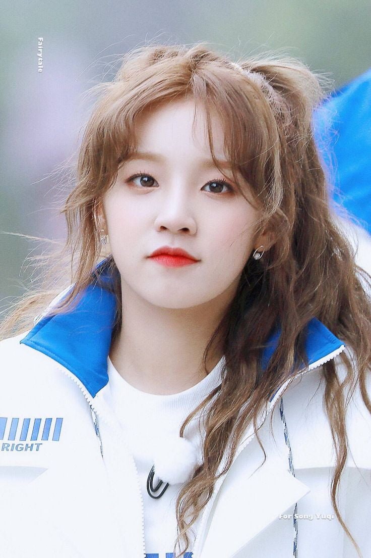 다리다리필승