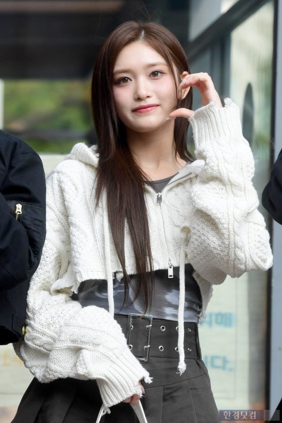 다리다리게임통계