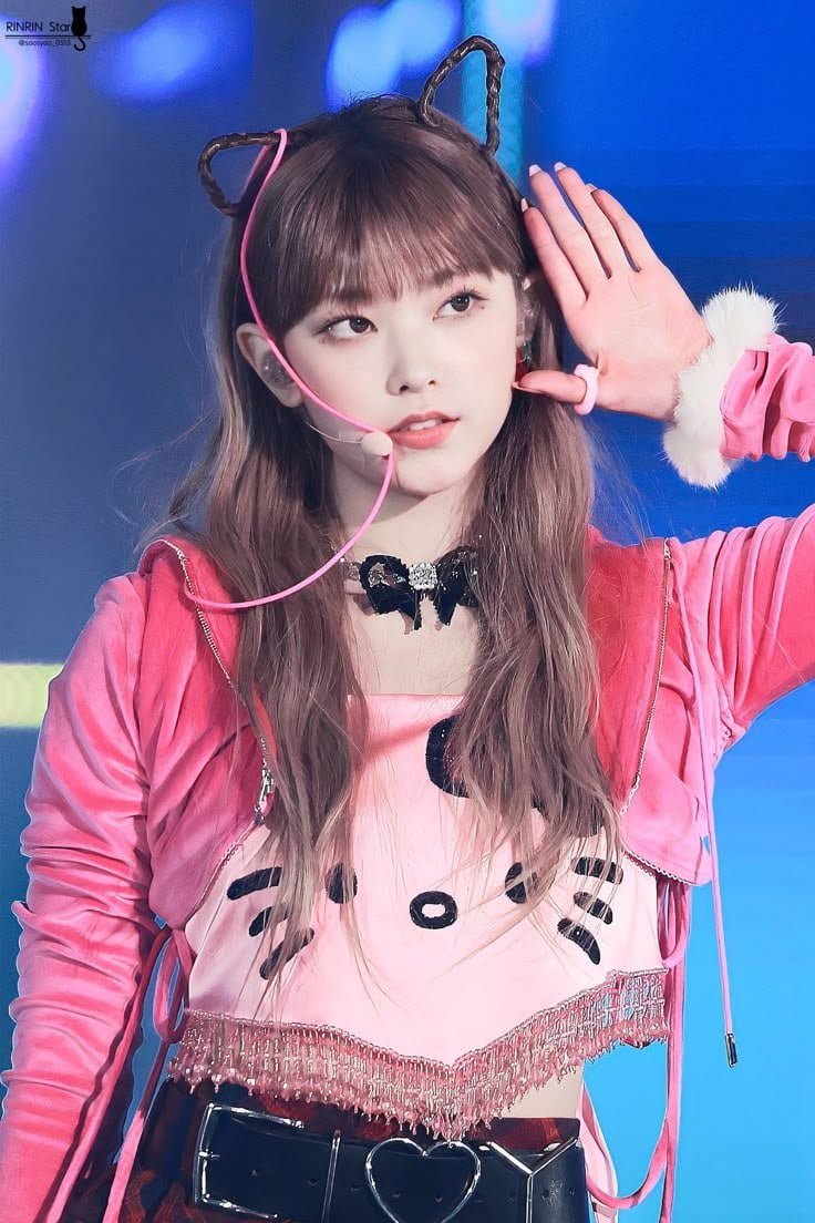 사다리게임통계