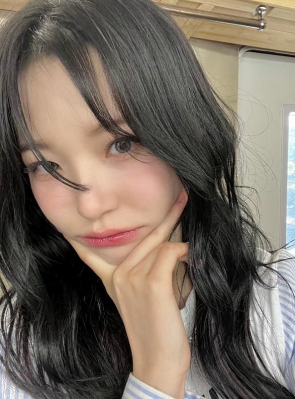 나눔로또 파워볼분석기