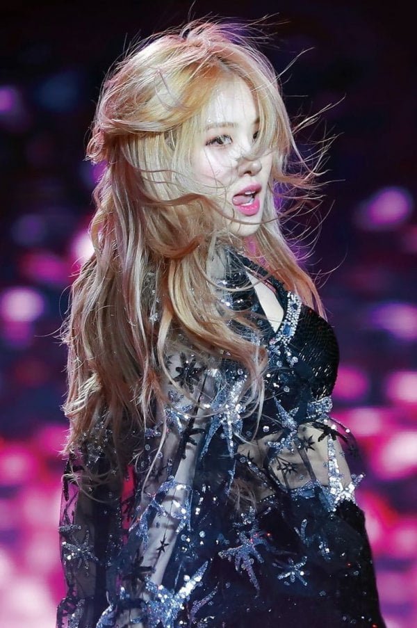 다리다리게임분석기