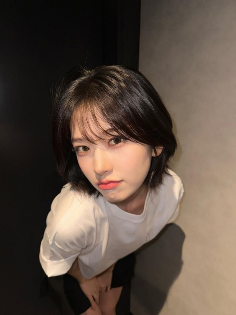 달팽이게임분석