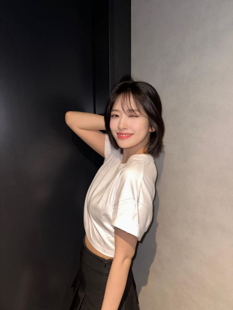 다리다리필승