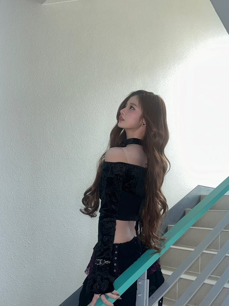 파워볼게임통계