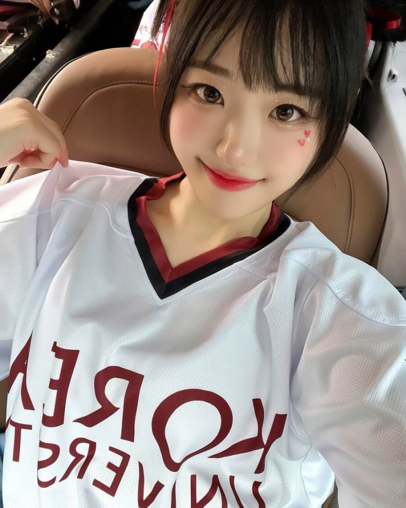 나눔로또 파워볼분석기