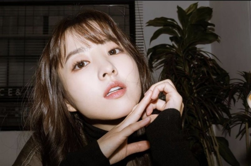 다리다리 분석과 실시간패턴통계