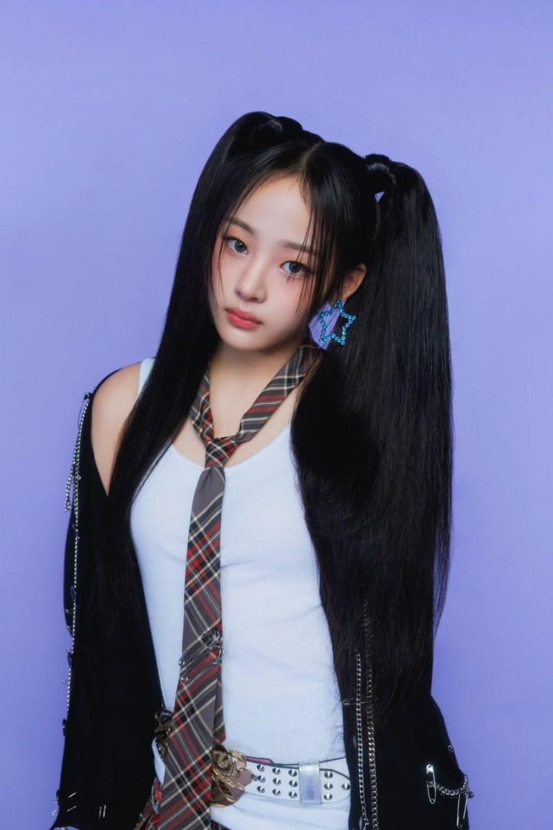 나눔로또 파워볼분석기
