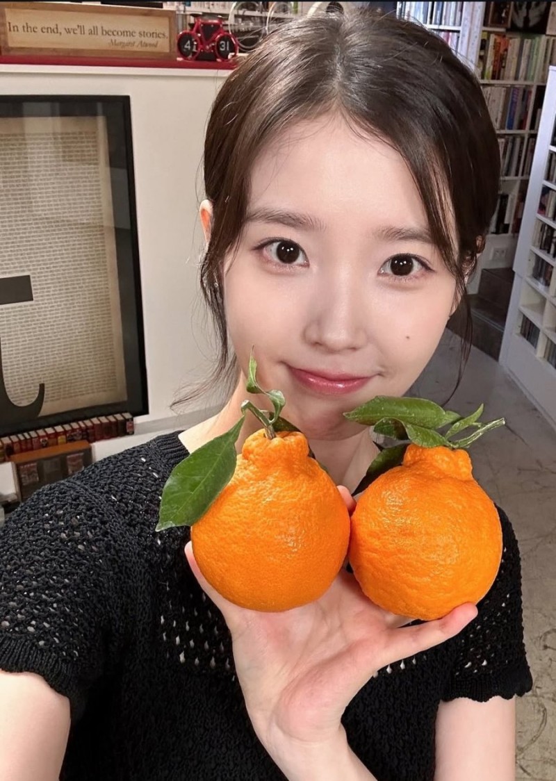 파워볼게임통계