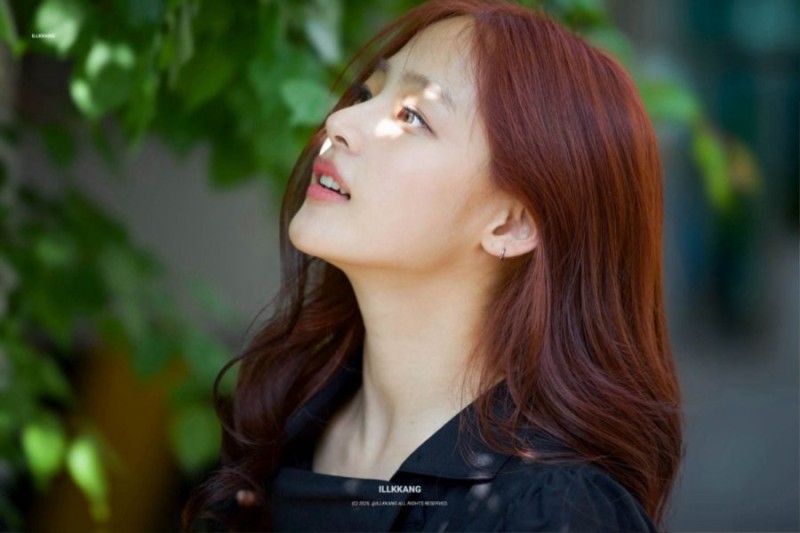 사다리게임분석
