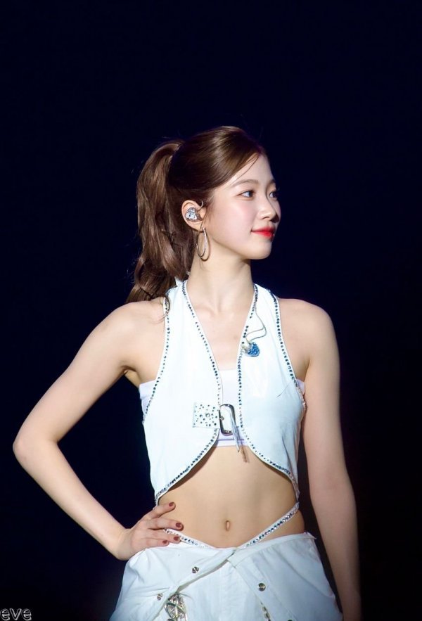 다리다리게임분석기
