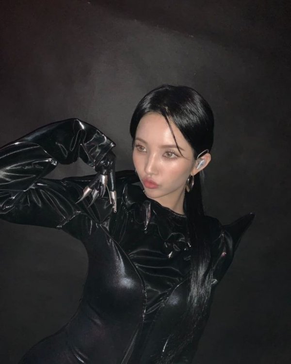 실시간다리다리