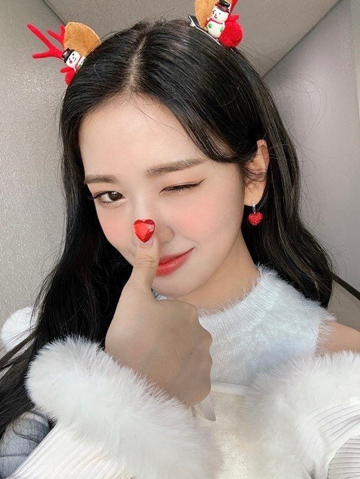 다리다리게임분석기