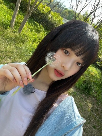 나눔로또 파워볼분석기