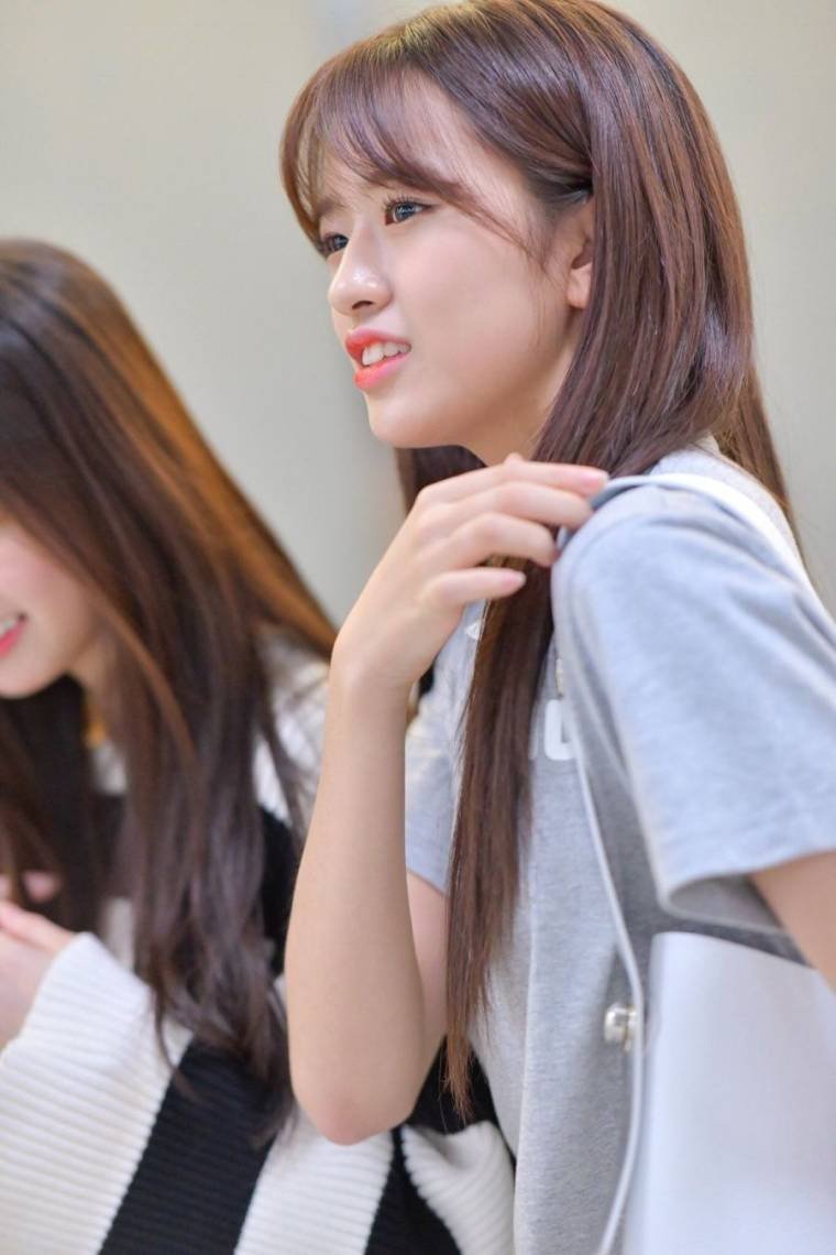 다리다리게임통계