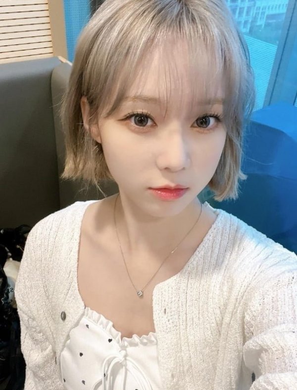 사다리필승