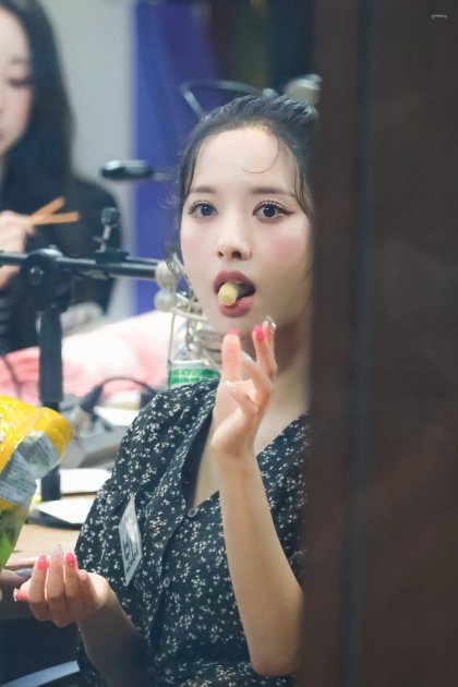 사다리 분석과 실시간패턴통계