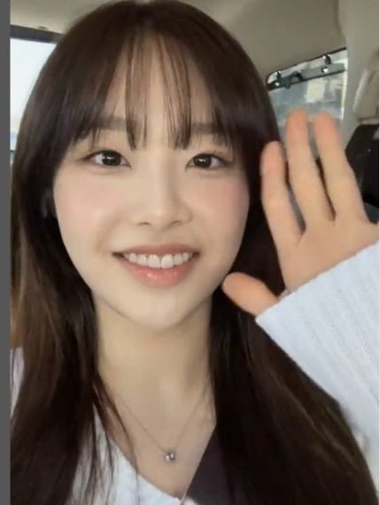 실시간다리다리