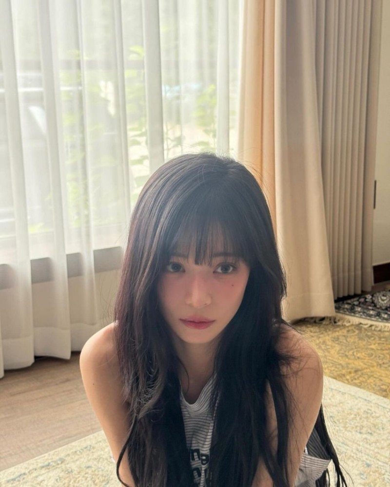 사다리 분석과 실시간패턴통계