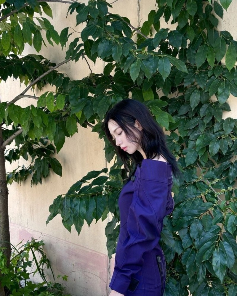 달팽이게임분석기