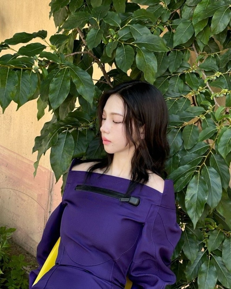 사다리게임픽분석