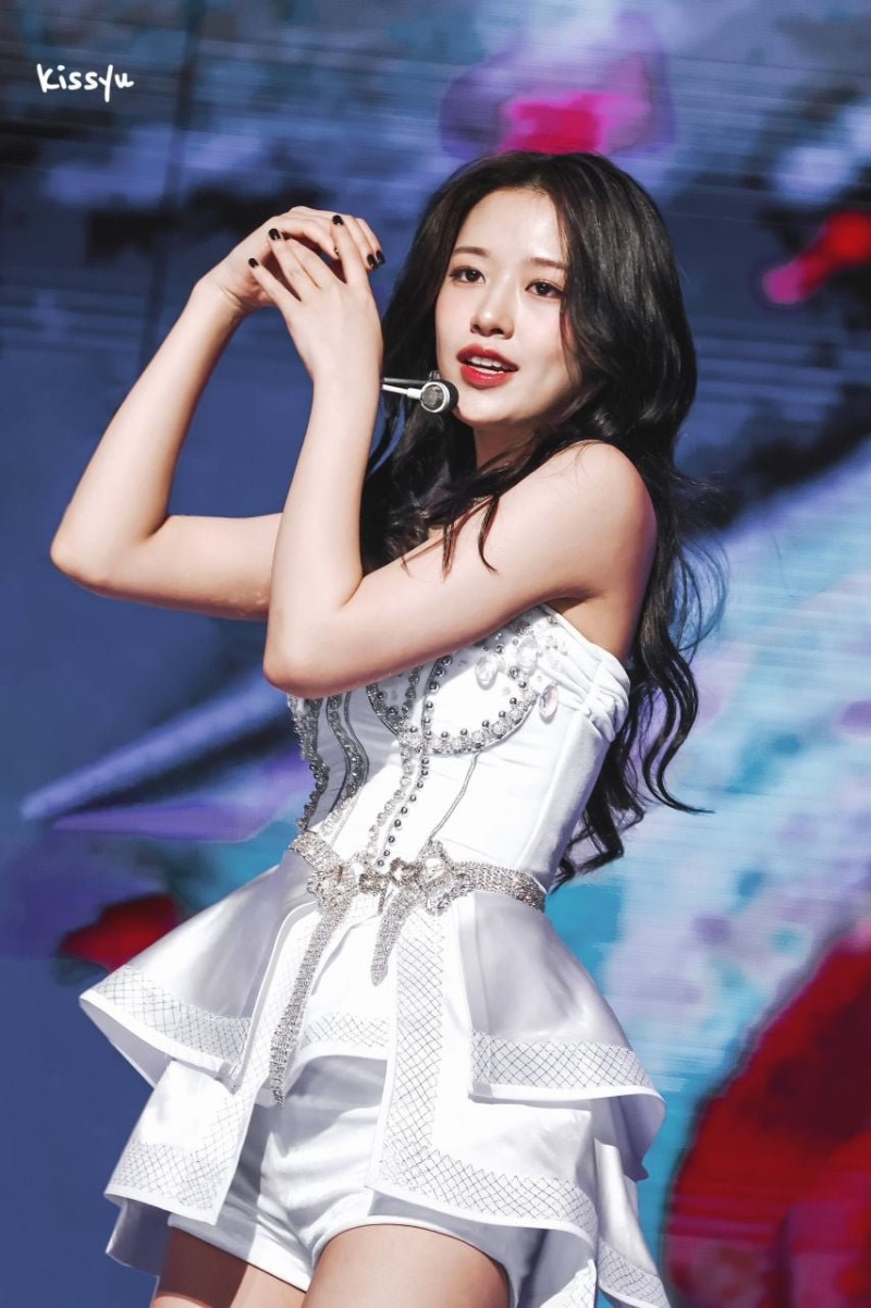 실시간다리다리