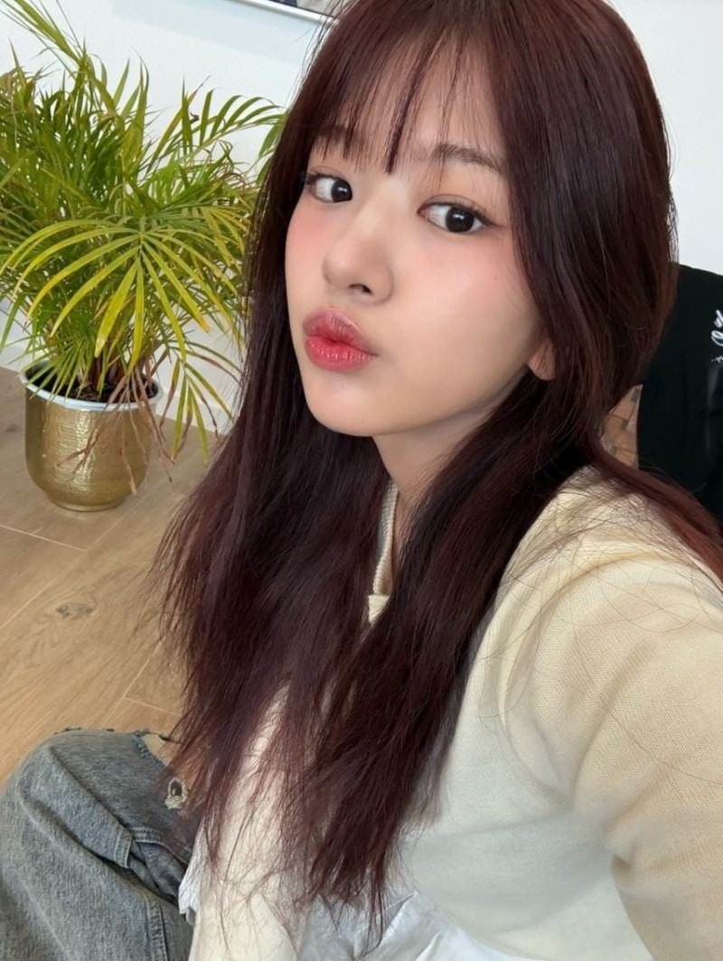 실시간달팽이