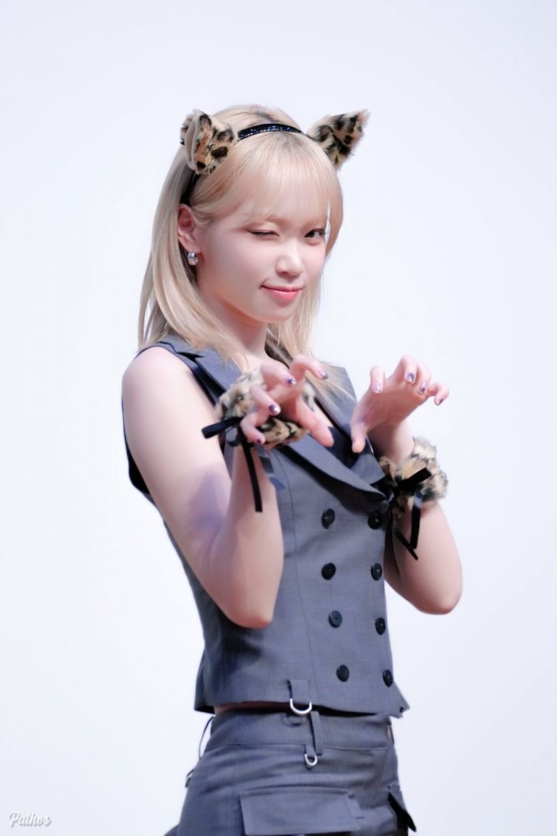 사다리게임통계