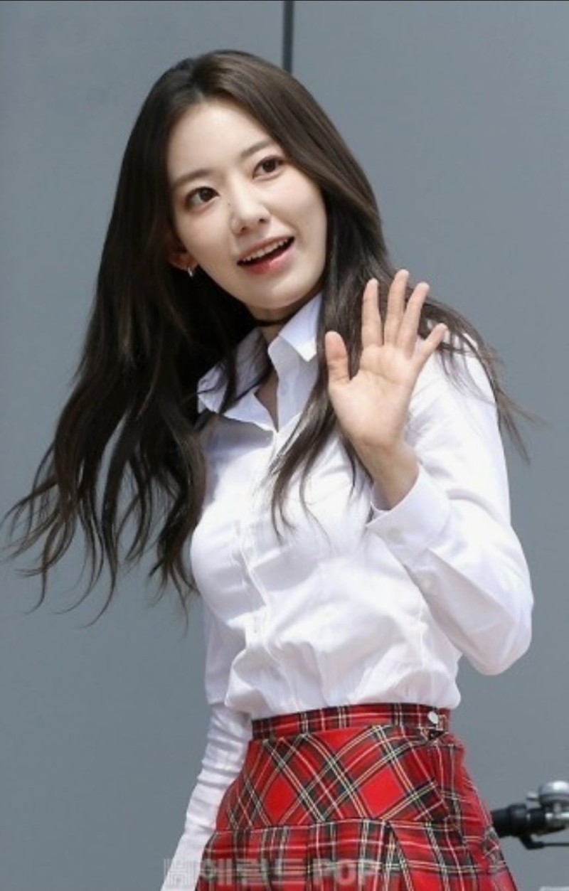 사다리게임픽게임