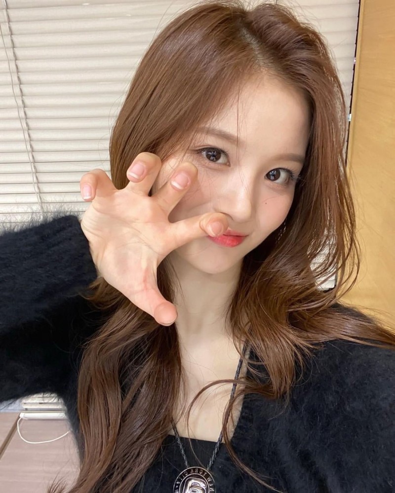 사다리게임분석기