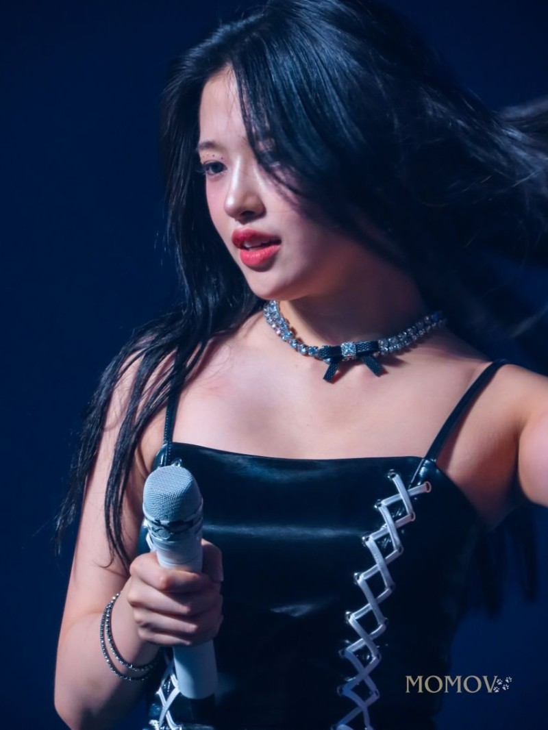 다리다리 분석과 실시간패턴통계