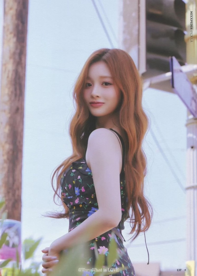 사다리필승