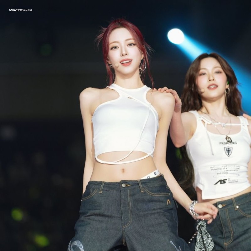다리다리게임통계