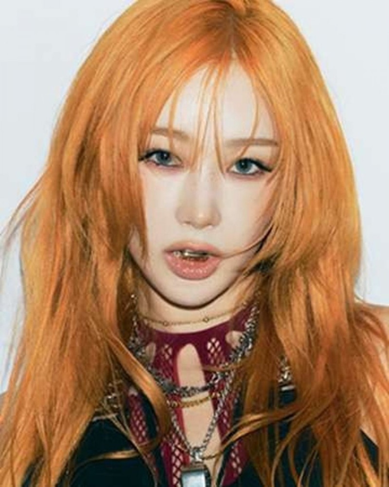 사다리게임픽게임
