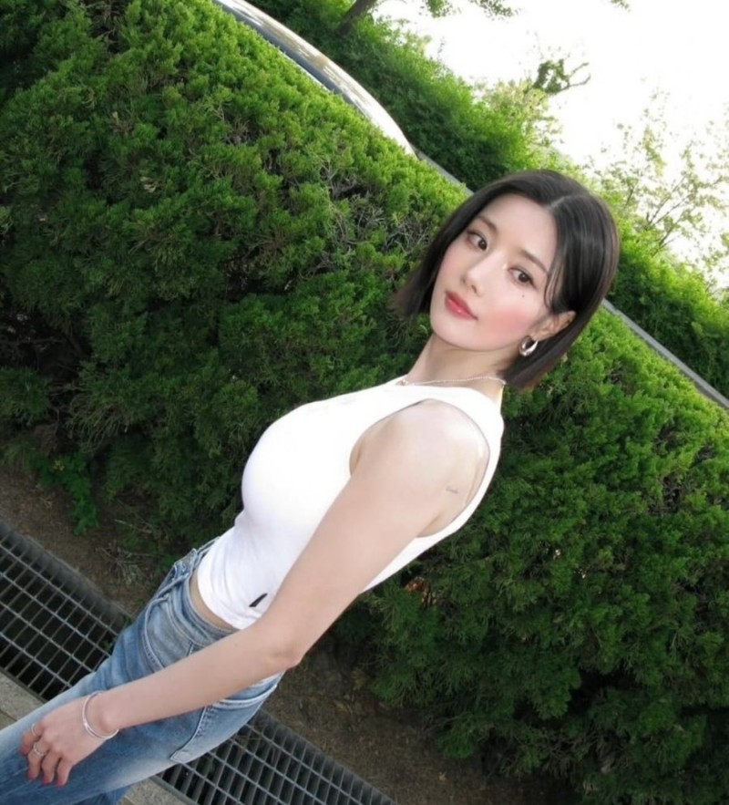 파워볼게임