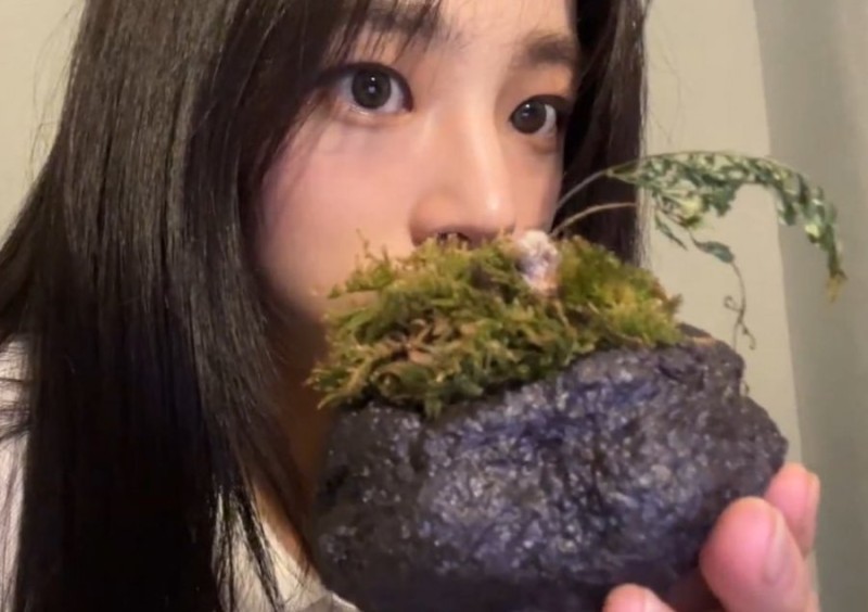 파워볼게임픽분석