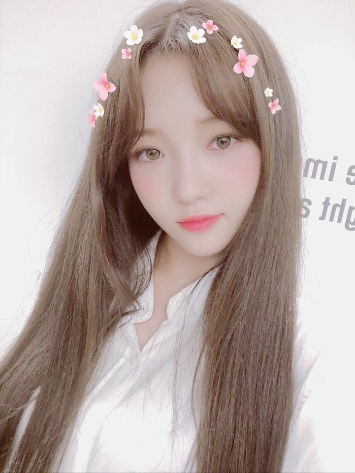 다리다리게임픽분석