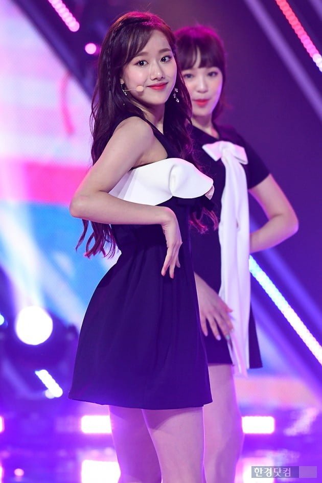 사다리 분석과 실시간패턴통계