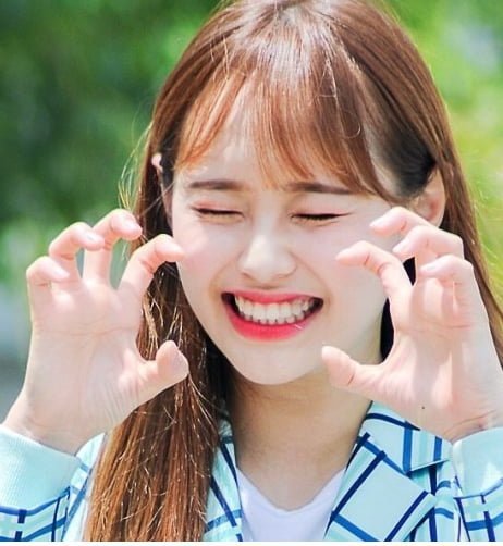 나눔로또