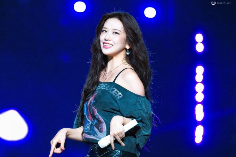 다리다리 분석과 실시간패턴통계