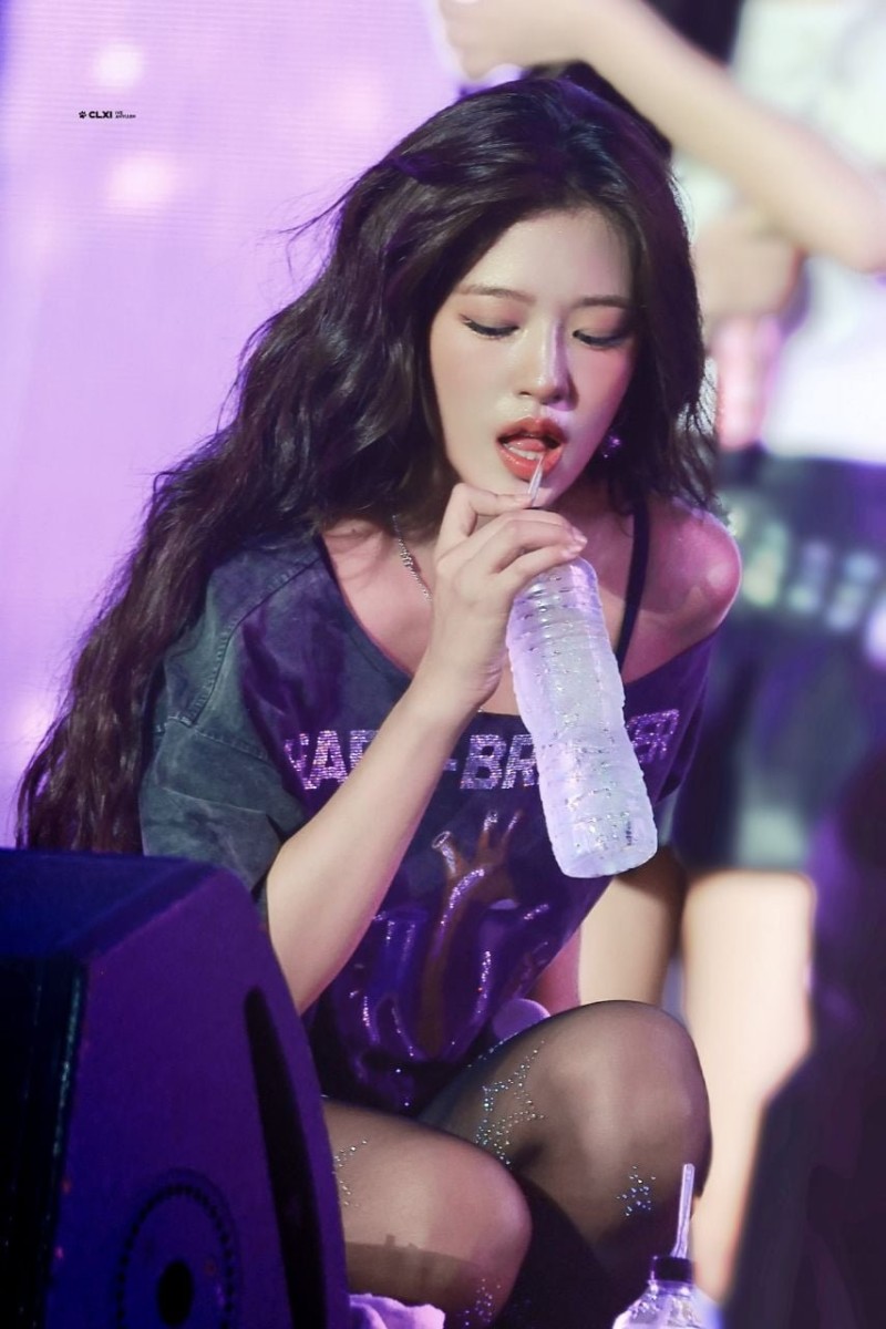 다리다리게임픽분석