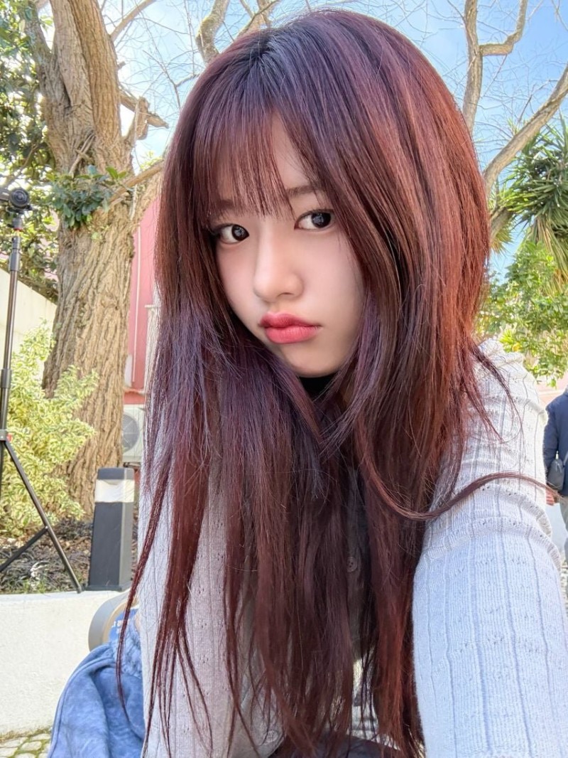 다리다리게임픽분석