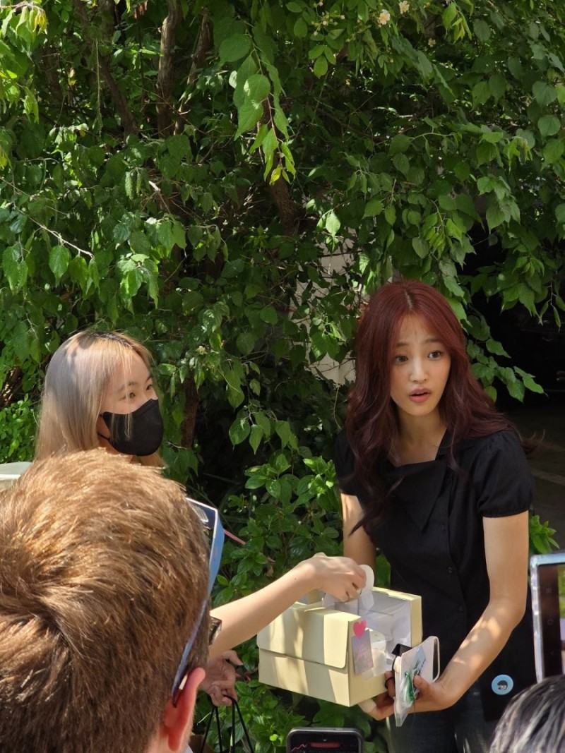 실시간다리다리