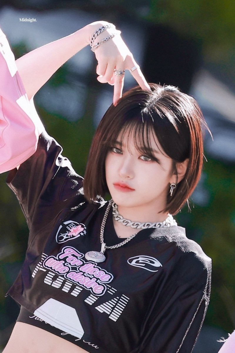 다리다리게임분석기