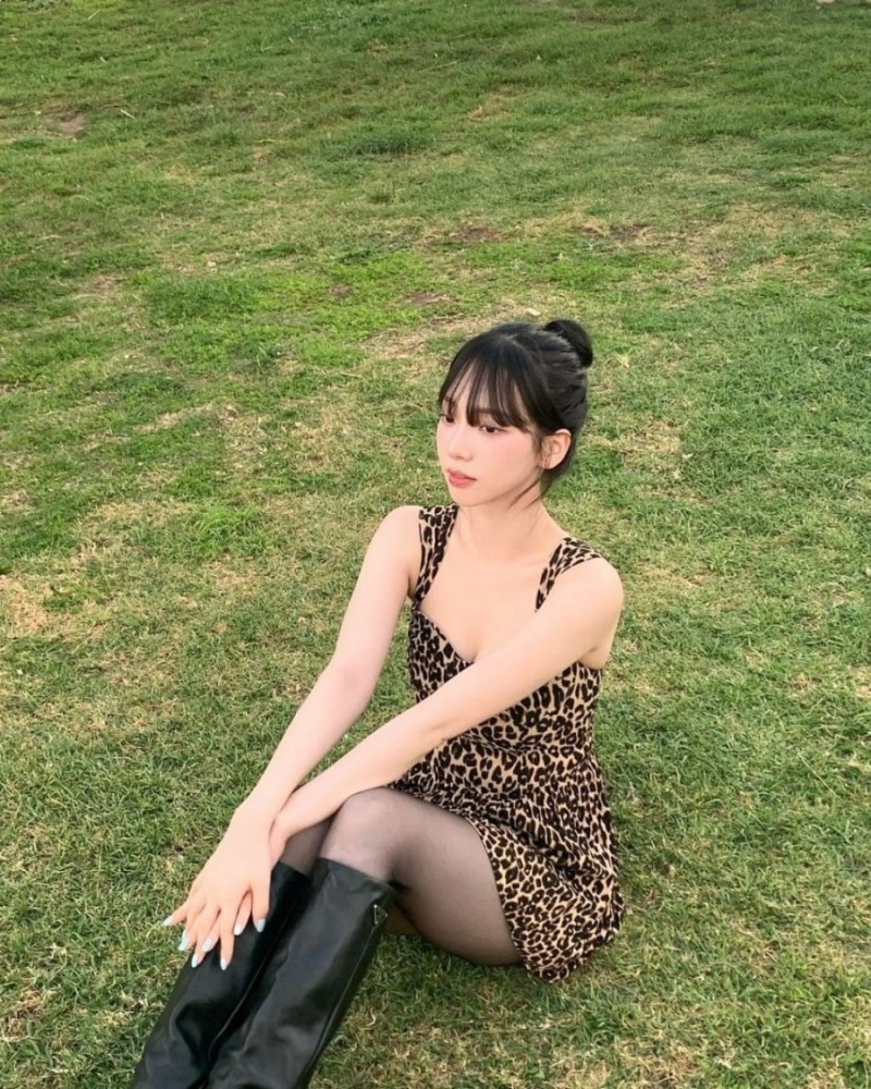 다리다리게임분석기
