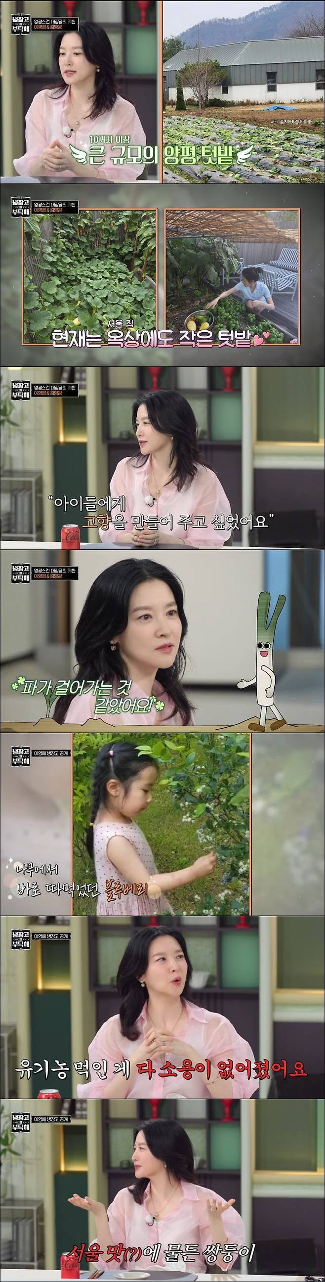 다리다리게임통계