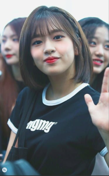 파워볼게임분석기