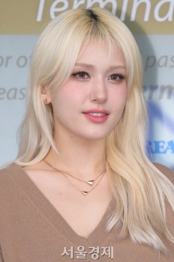 달팽이게임통계