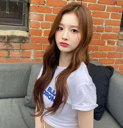사다리게임통계