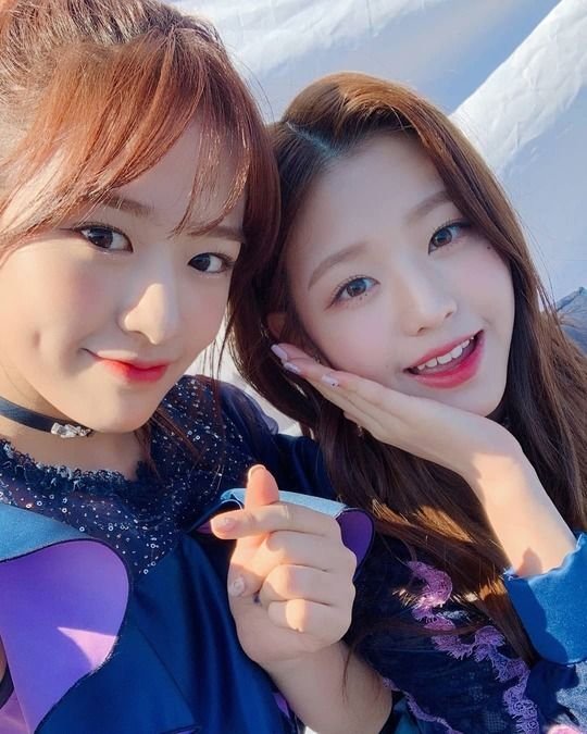 나눔로또 파워볼분석기