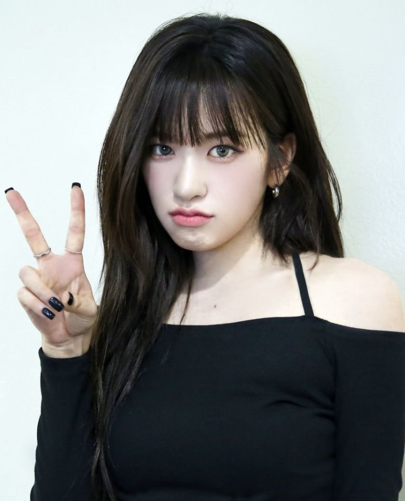 나눔로또 파워볼분석기